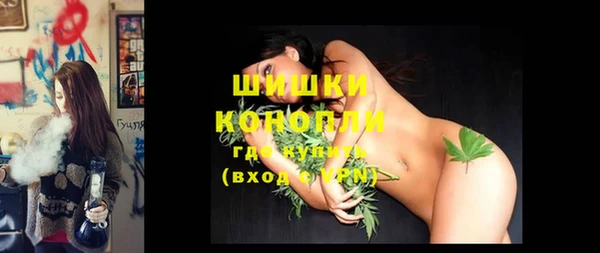 бошки Верея
