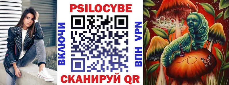 Псилоцибиновые грибы MAGIC MUSHROOMS  Ельня 
